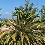 Ancora Boutique Apartments