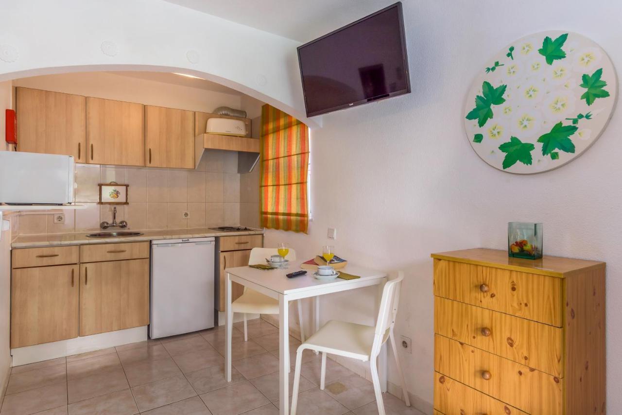Palm Estudios Apartamento