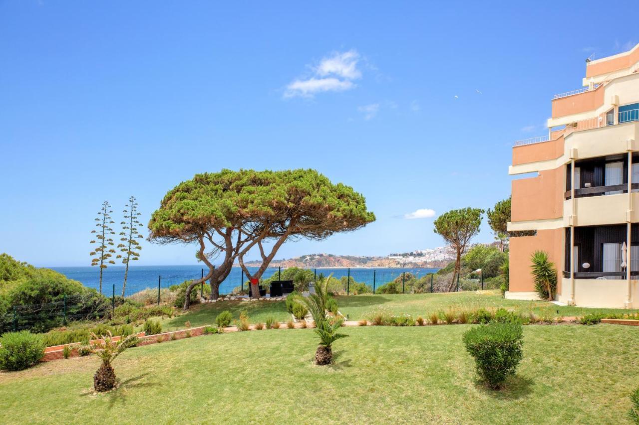 Auramar 3*