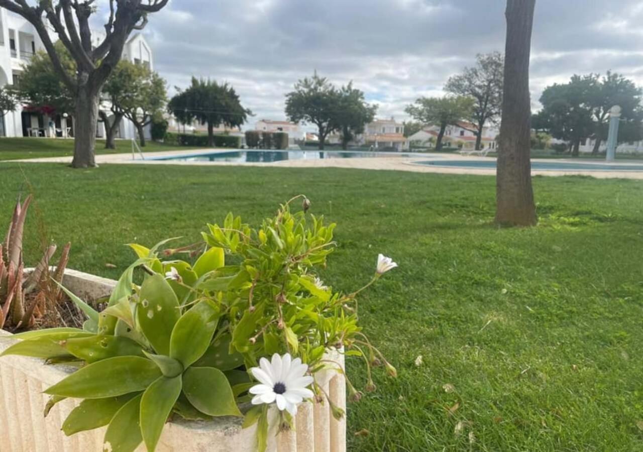 Apartamento Title E Title - Oura