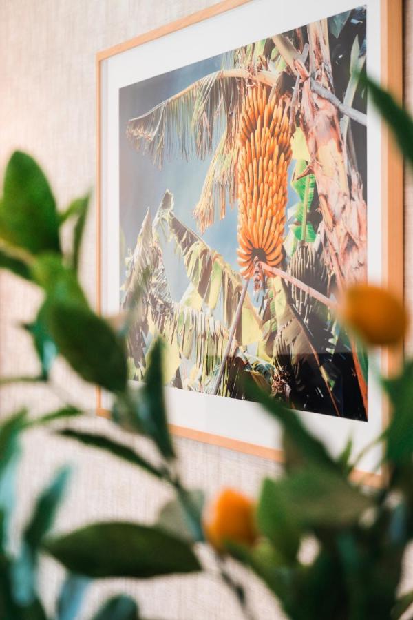 Appartement Banana By Atlantic *