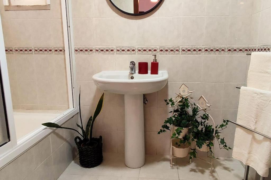 Apartment Jardim Sol *