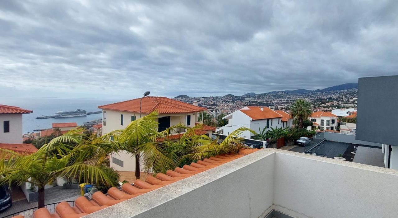 Palmeiras * Funchal (Madeira)