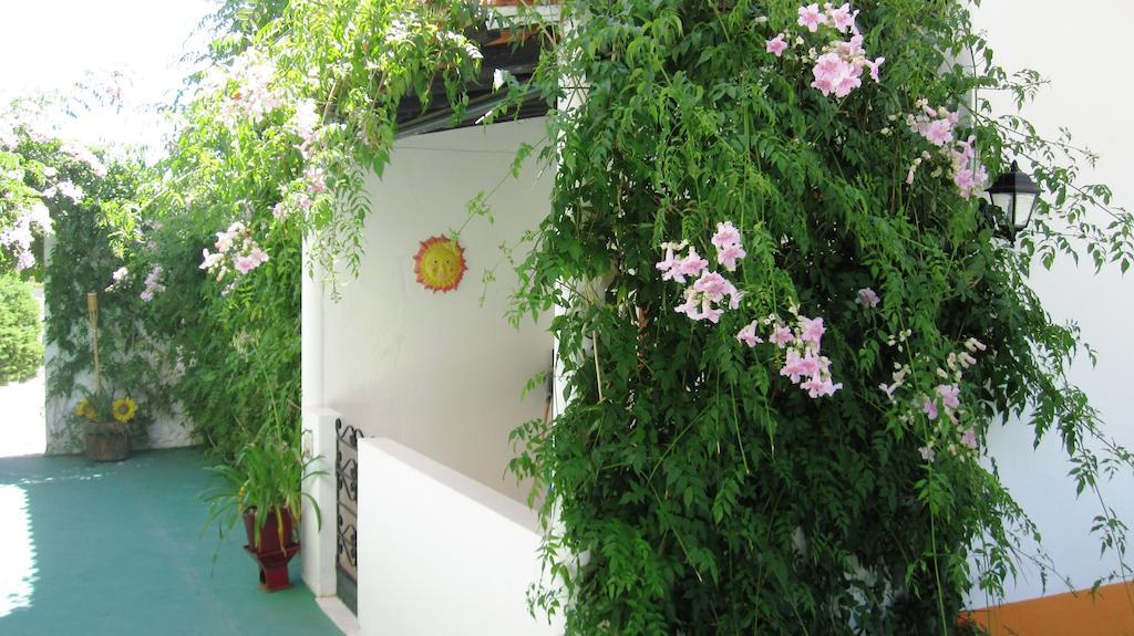 Apartamento Palm Estudios