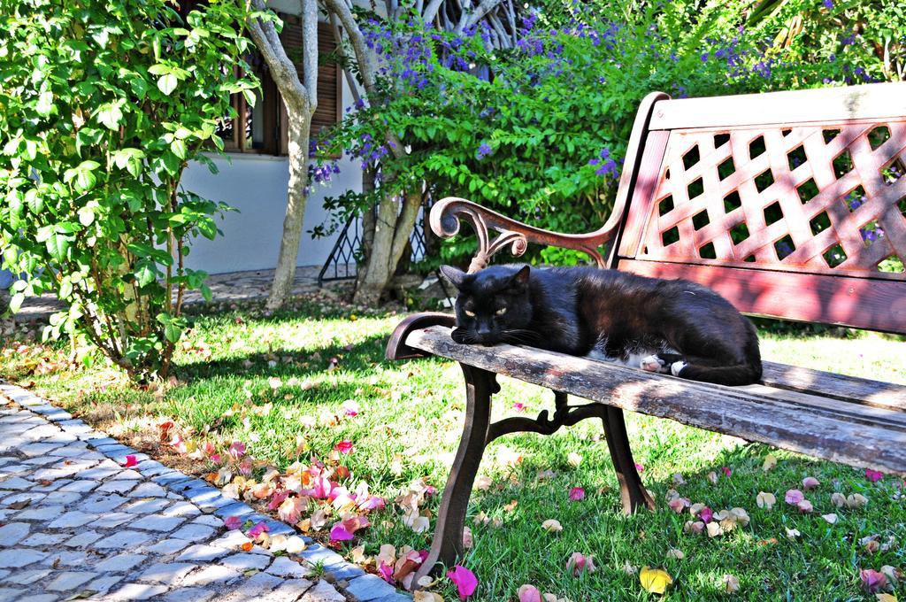 Uma Casa A Beira Sol 3* Lagos