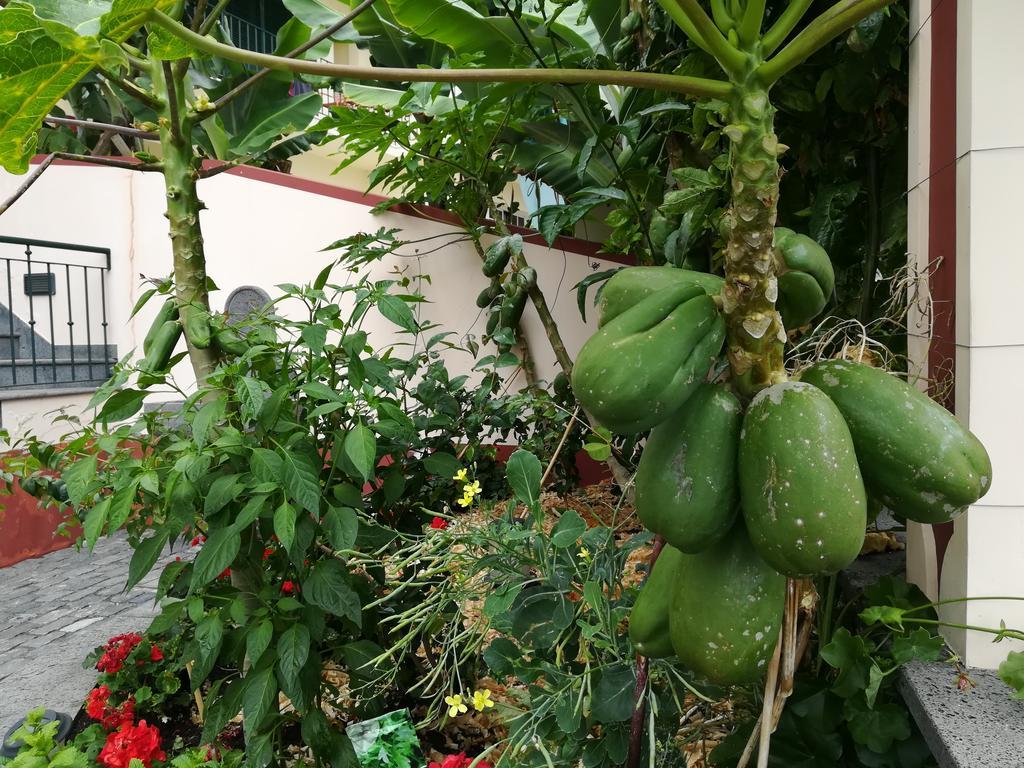 Apartamento Formosa Funchal (Madeira)