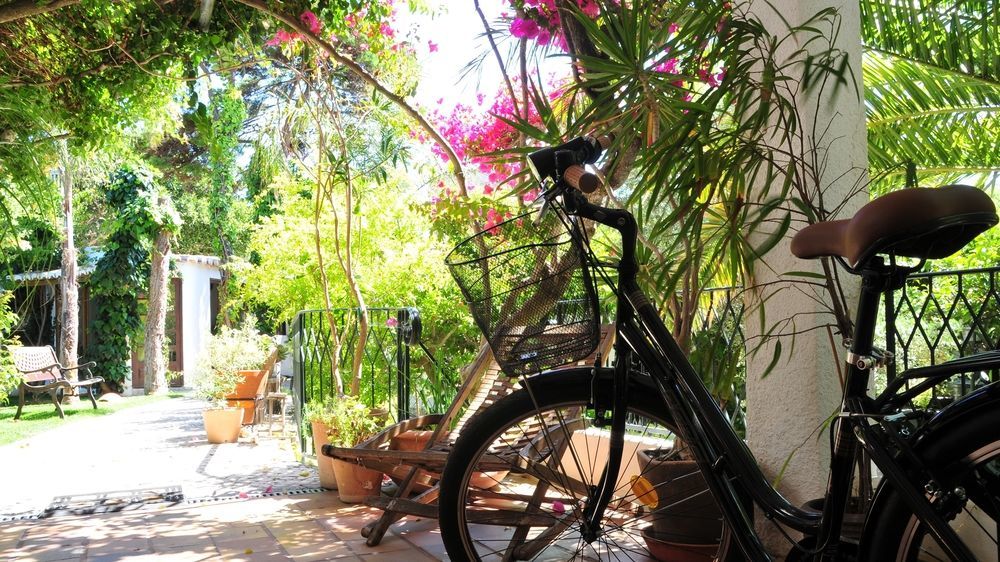 Uma Casa A Beira Sol 3*