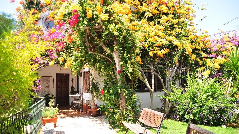 Uma Casa A Beira Sol 3*