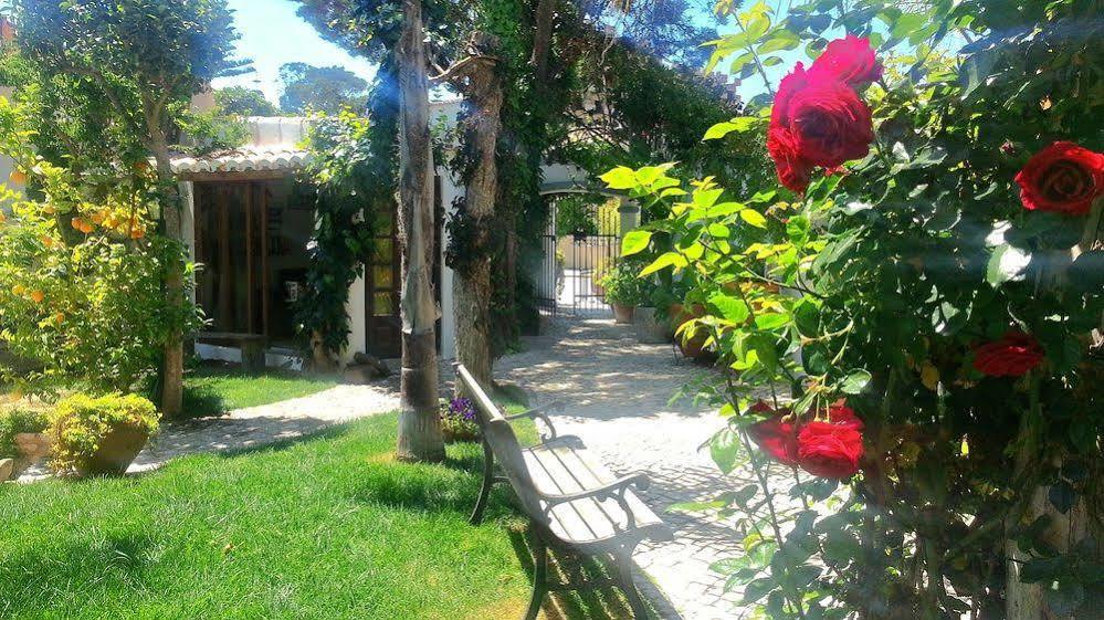 Uma Casa A Beira Sol 3*