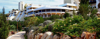 Magnolia Mar 3*