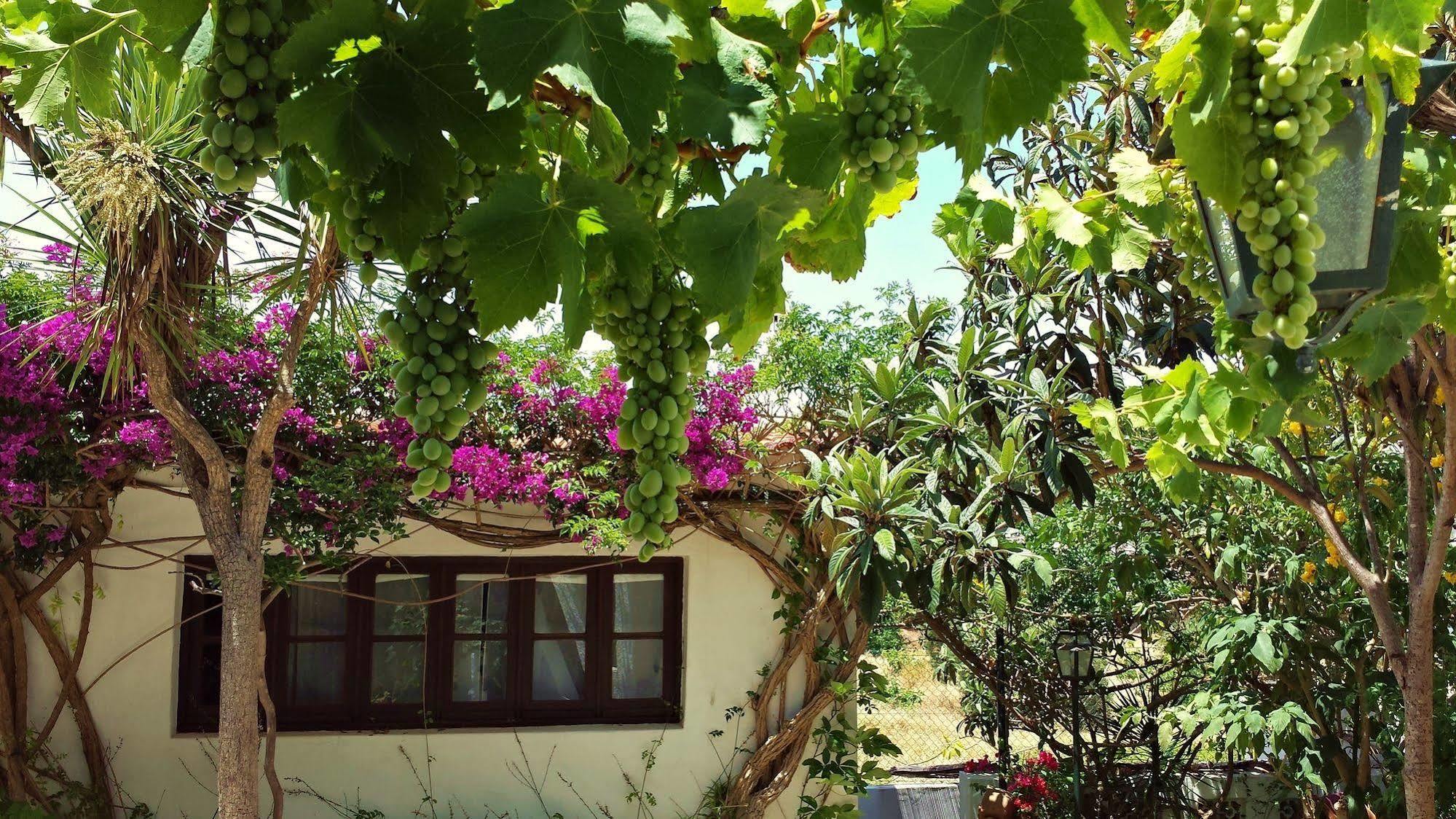 Uma Casa A Beira Sol Lagos
