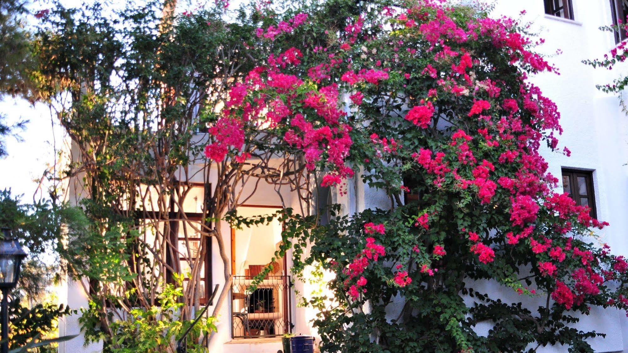 Bed & Breakfast Uma Casa A Beira Sol