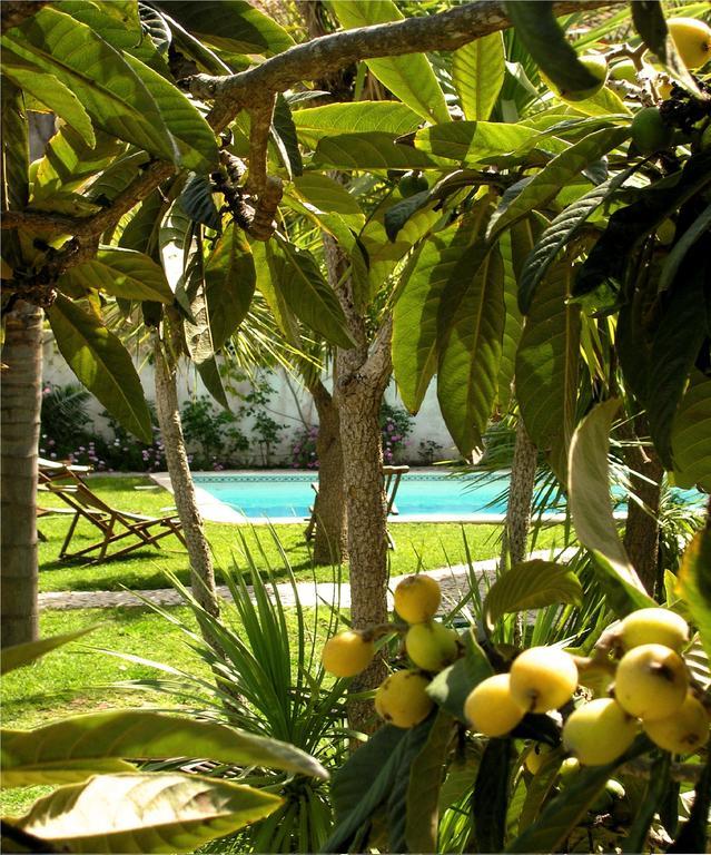 Uma Casa A Beira Sol Bed & Breakfast