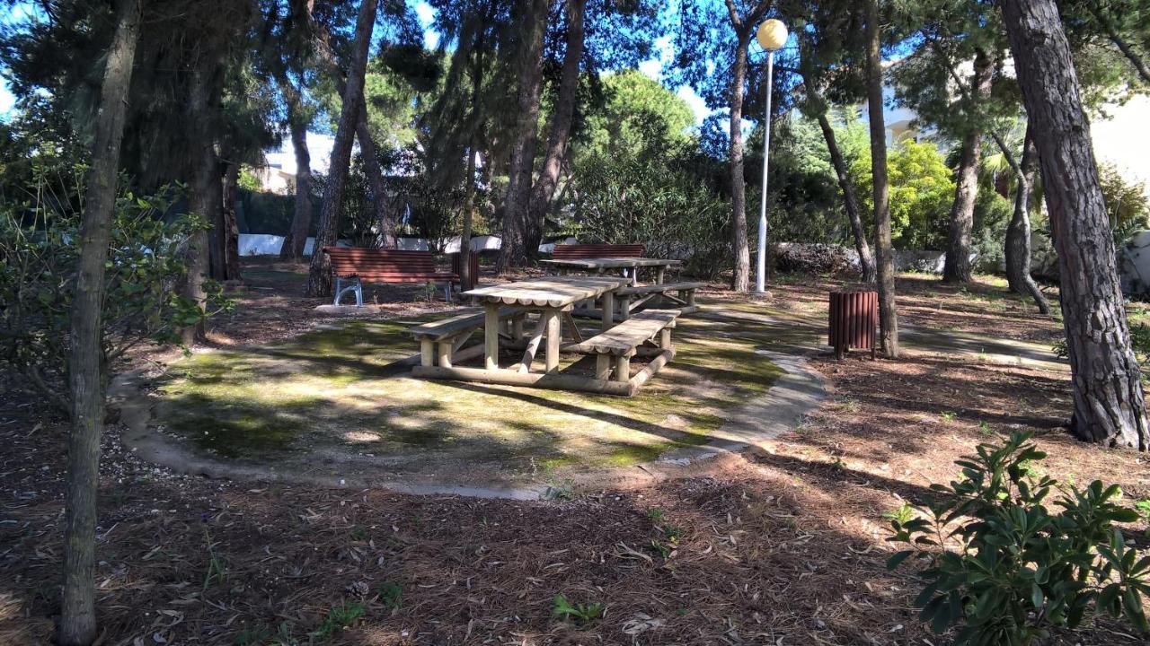 Bosque Sao Jose *