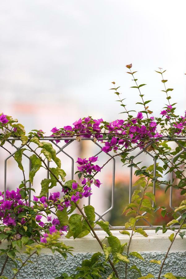 Guest house Belvedere Boutique
