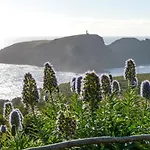 Porto Santo Blue House