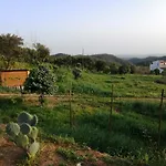 Vinha Do Gaio