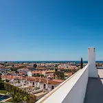 Vandalou By Alzira
