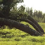 Quinta Do Paraiso