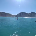 Moby Dick Lodge