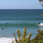 International Surf School & Camp