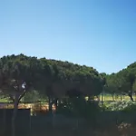 Mira Parque