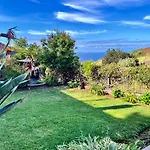 Blooming Botanic Houses