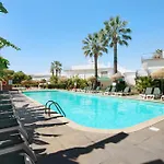 Palm Paradise Salgados