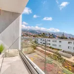 The Pink Palm Apartment