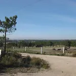 Monte Da Xara