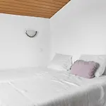 Cecilia\'S House