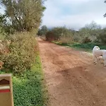 Entrecolinas