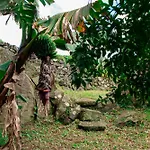 Casa De Campo Franco Da Serra