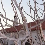Casa Papoula