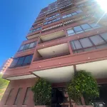 Sao Joao Beach Lounge