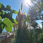Casa-Albatros