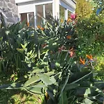 Casa-Albatros