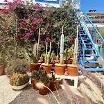 Ferienwohnung Mit Eigener Terrasse