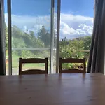 House With Forest View