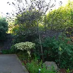 Villa Eden Sky In Prazeres