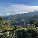 Refugio Das Camelias