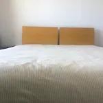 Sunshine Room