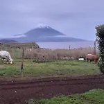 Quinta Da Maria