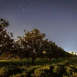 Laranjal Farm House