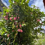 Tropical House