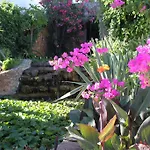 Alto Club Villa Oleander