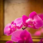 Helen\'S House Apartment