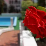 Canico Bay Apartments