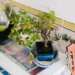 Lisbon South Hostel