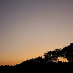 Fx Pena